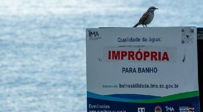 73,95% das praias estão próprias em SC; confira a lista de pontos impróprios para banho