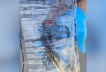 Casal é encontrado morto dentro de casa e polícia descobre crime grave em Itajaí