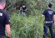 Corpo de jovem desaparecido é encontrado amarrado e em decomposição em área de mata em SC