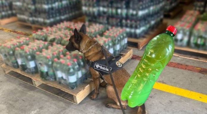 Carga de cocaína diluída em refrigerante é apreendida em Navegantes