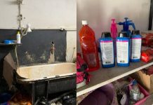 Pet shop é interditado em Brusque por condições insalubres e produtos vencidos