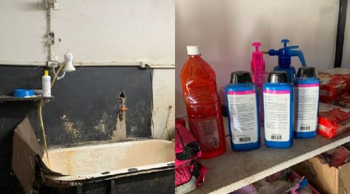 Pet shop é interditado em Brusque por condições insalubres e produtos vencidos
