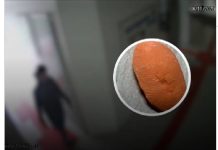 VADIAGEM Servidores de prefeitura de SC usavam dedo de silicone para burlar o sistema eletrônico