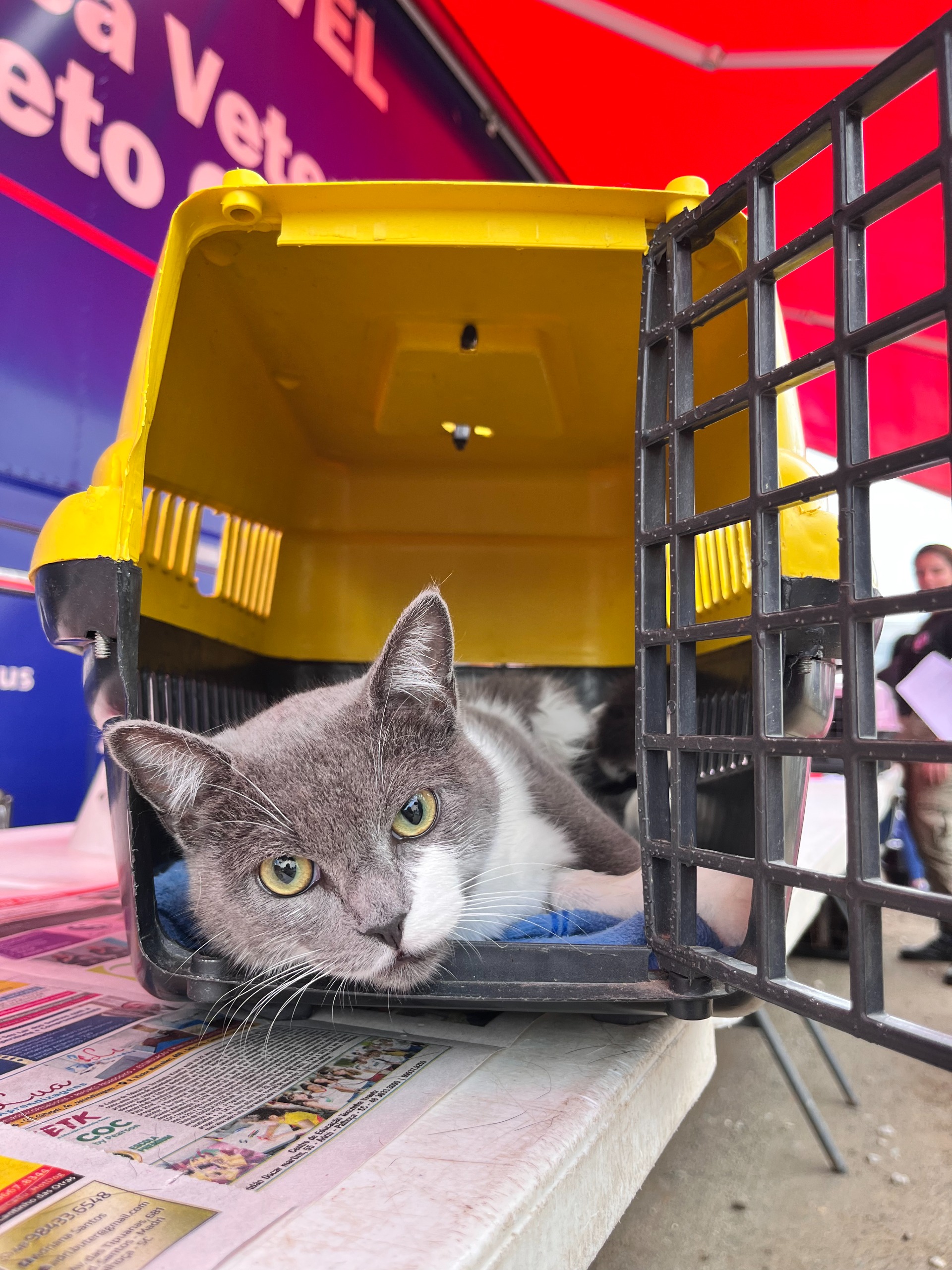 WhatsApp Image 2025 11 04 at 14.00.11