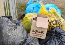 Moradores de Luiz Alves denunciam falhas e falta de planejamento na coleta de lixo