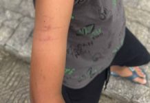 Professor de creche em SC é afastado por suspeita de agressão contra aluno com TDAH