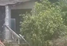 VIDEO Homem é encontrado morto em imóvel abandonado em Navegantes