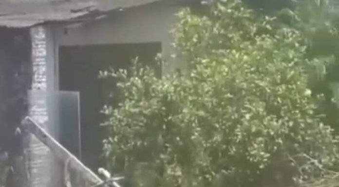 VIDEO Homem é encontrado morto em imóvel abandonado em Navegantes