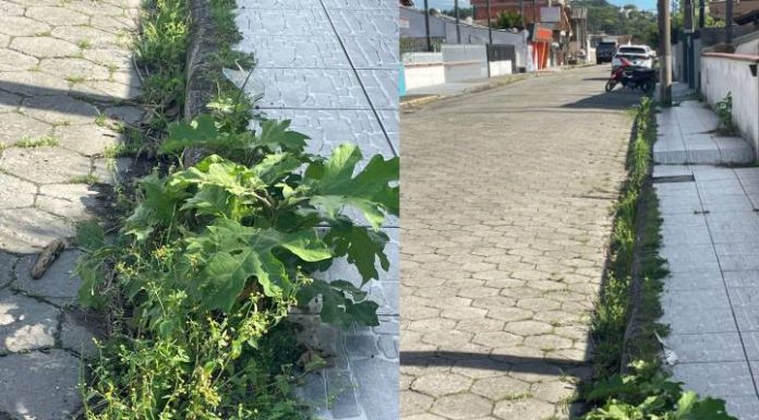 VIDEO Moradores de Penha denunciam abandono da Rua Manoel Bernardino, tomada pelo mato
