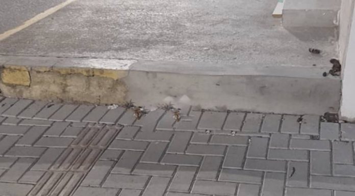Morador denuncia desnível perigoso em calçada de Balneário Piçarras