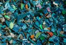 Plástico no oceano ameaça o meio ambiente e compromete a alimentação dos animais