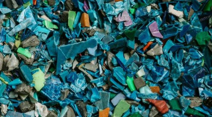Plástico no oceano ameaça o meio ambiente e compromete a alimentação dos animais