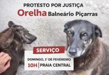 Balneário Piçarras terá ato de protesto pela morte do cão Orelha na Praia Central neste domingo (1º)