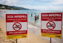 Atenção banhistas: relatório aponta água suja em praias de Porto Belo e Itapema