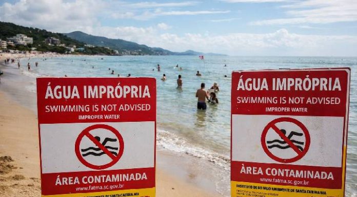 Atenção banhistas: relatório aponta água suja em praias de Porto Belo e Itapema