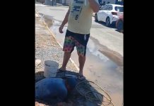 Morador de Piçarras tem rede entupida e família passa a usar banheiro de vizinhos