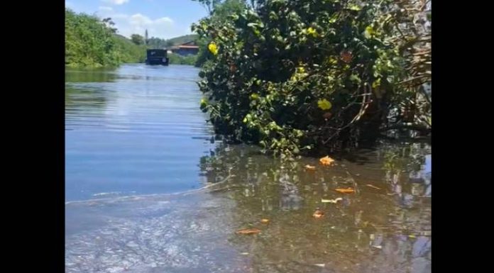 VIDEO Rio Piçarras vira esgoto a céu aberto e moradores denunciam mau cheiro, gordura e abandono ambiental