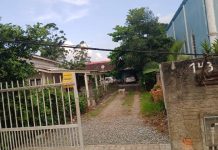 VIDEO “Vergonha na Rua dos Girassóis em Piçarras: fios de internet largados na frente de casa viram armadilha para moradores”
