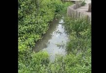 NOJO EM PIÇARRAS: Esgoto vaza na beira-mar, escorre para o mar e escancara abandono do saneamento