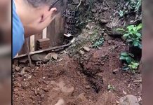 Jovem é encontrado morto com a cabeça arrancada em SC