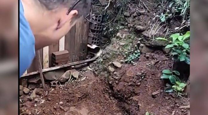 Jovem é encontrado morto com a cabeça arrancada em SC