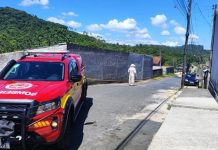 Homem é ferido por ataque de abelhas em Gaspar