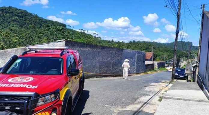 Homem é ferido por ataque de abelhas em Gaspar