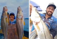 GIGANTES DO MAR Robalos de até 5 quilos impressionam em pesca artesanal em Barra Velha