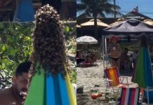 VIDEO Enxames de abelhas na praia exigem atenção e cuidados, alertam Bombeiros de SC