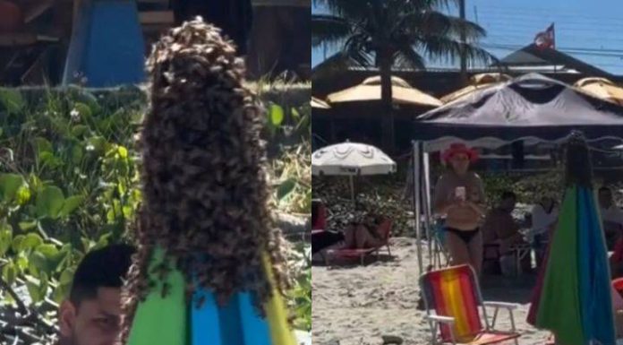VIDEO Enxames de abelhas na praia exigem atenção e cuidados, alertam Bombeiros de SC
