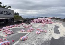 Caminhão com carga de arroz tomba, interdita pista e causa filas na BR-101 em SC
