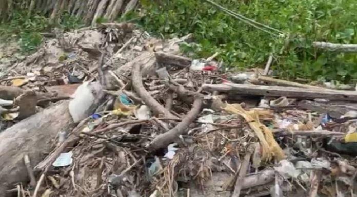 VIDEO Lixo toma conta da orla de São Miguel, em Penha, e revolta moradores e visitantes neste domingo