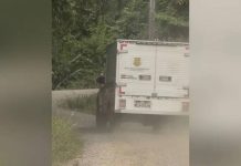 Idoso e vizinho são assassinados em sítio de SC