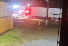 Atropelamento na BR-101 em Balneário Piçarras deixa uma pessoa morta