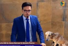 Vereador de Piçarras, João Forte ataca GOR na tribuna, mas leva “puxão de orelha” da coordenadora que expõe limites legais e falhas da prefeitura