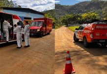 Dois homens ficam feridos por ataque de enxame de abelhas em Timbó