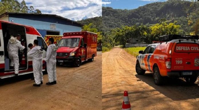 Dois homens ficam feridos por ataque de enxame de abelhas em Timbó
