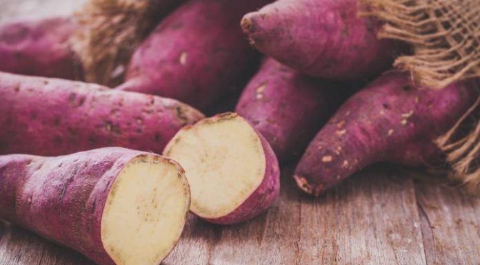 Idoso de 61 anos faz cirurgia para tirar batata-doce do ânus