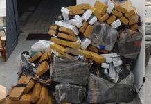 PRF apreende 294 kg de maconha durante fiscalização na BR-101 em Barra Velha