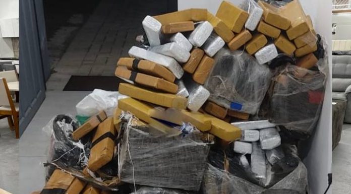 PRF apreende 294 kg de maconha durante fiscalização na BR-101 em Barra Velha