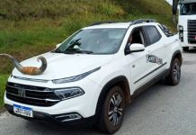 Picape com “chifre” é flagrada em rodovia de SC