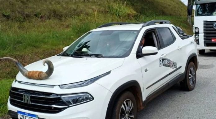Picape com “chifre” é flagrada em rodovia de SC