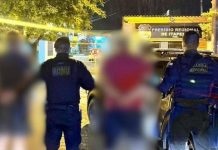 Quem são os irmãos investigados por esquema do Banco Master e presos em Itapema