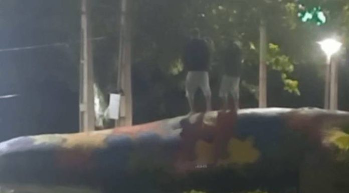 Adolescentes são flagrados sobre escultura de baleia e colocam patrimônio público em risco em Piçarras