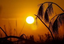 Santa Catarina tem semana de calor intenso e temporais isolados