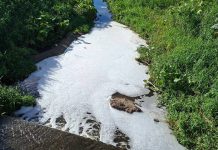 Espuma branca em vala próxima a escola revolta moradores e levanta nova suspeita de poluição em Balneário Piçarras