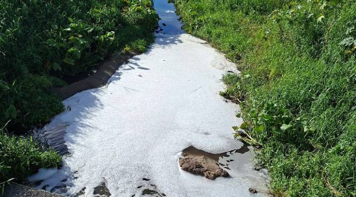 Espuma branca em vala próxima a escola revolta moradores e levanta nova suspeita de poluição em Balneário Piçarras