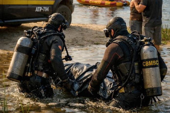 Novo Projeto - 2026-02-11T180305.205