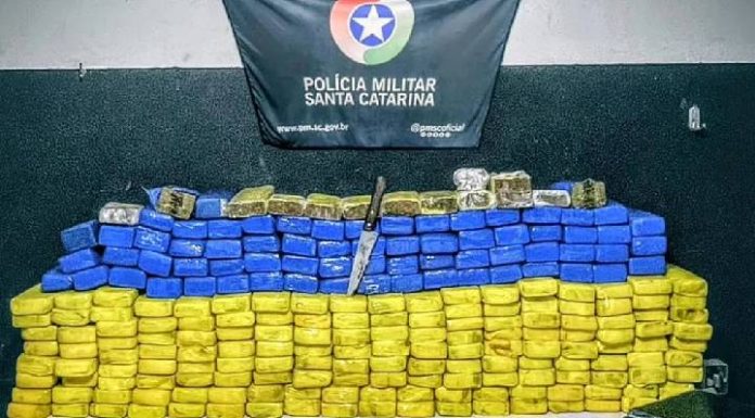 Reclamar da “qualidade” da droga termina em prisão: PM estoura depósito com 144 kg de maconha em Penha