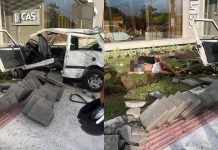 CARRO SOBE NA CALÇADA, ARRANCA COQUEIRO E MOTORISTA É ARREMESSADO EM BALNEÁRIO PIÇARRAS